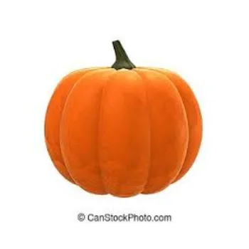 pumpkin8-5316815-38909.webp