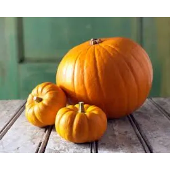 pumpkin8-8764612-60446.webp