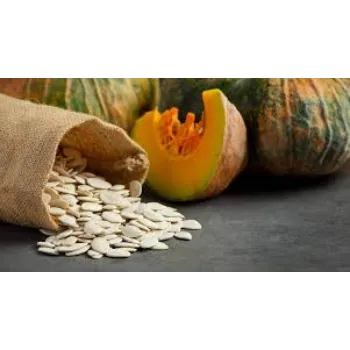 pumpkin8-9508311-12946.webp