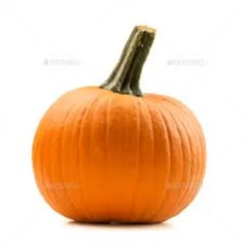pumpkin9-8229243-27660.webp