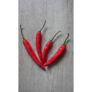 red-chili-14-3709404-77017.webp