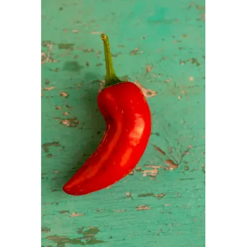 red-chili-19-1834775-91691.webp
