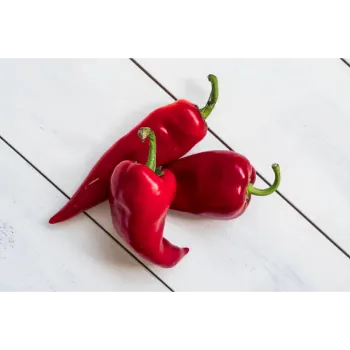 red-chili-55-3552038-60774.webp