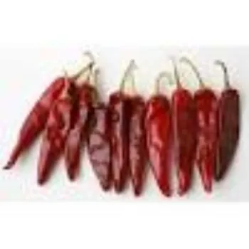 red-chili04-7225153-29397.webp