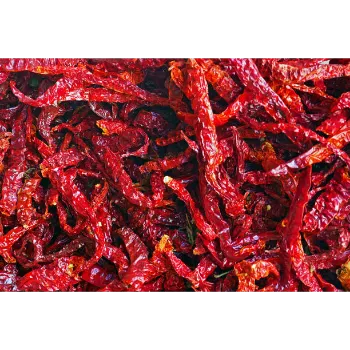 red-chilli-01-7686662-23093.webp