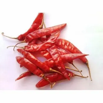 red-chilli-02-5578652-52498.webp