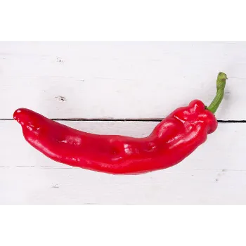 red-chilli-02-7634450-2444.webp