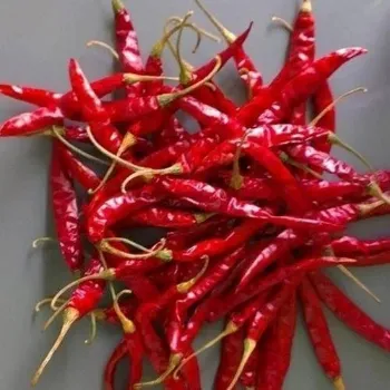 red-chilli-03-4722817-75313.webp