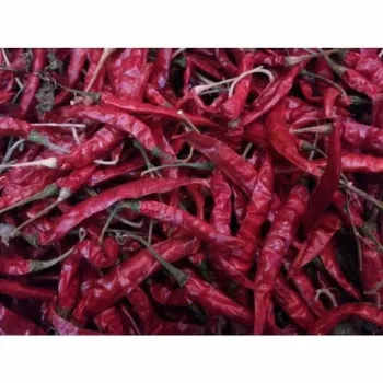 red-chilli-05-6761111-71400.webp