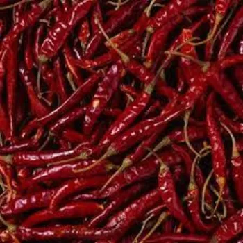 red-chilli-05-6814401-30613.webp