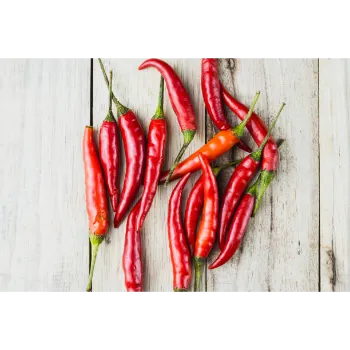 red-chilli-06-1773108-25247.webp