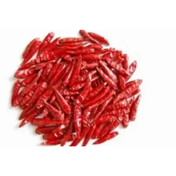 red-chilli-06-3589262-70117.webp