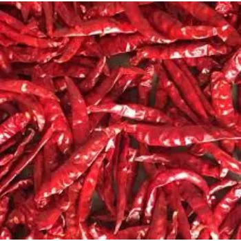red-chilli-06-7366838-65140.webp