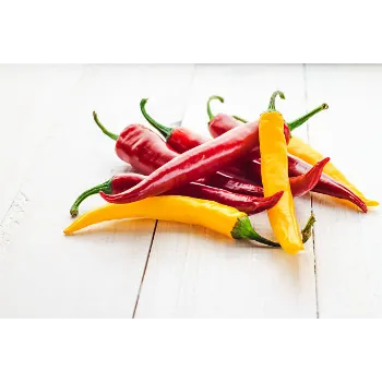 red-chilli-08-9906039-84076.webp