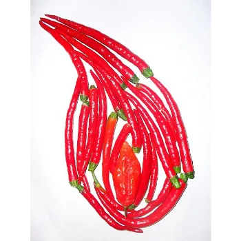 red-chilli-09-7199034-3797.webp