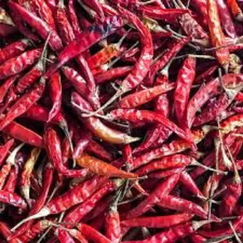 red-chilli-10-4529251-59357.webp