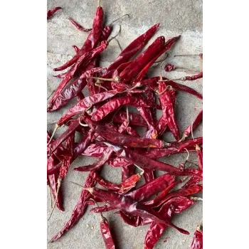 red-chilli-10-7118063-40874.webp