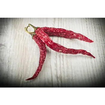 red-chilli-12-6354568-72851.webp
