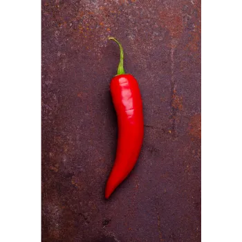 red-chilli-15-7041547-44170.webp