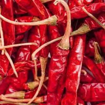 red-chilli01-7078005-78775.webp