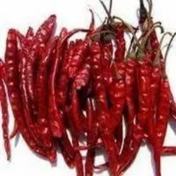 red-chilli03-4015731-79674.webp