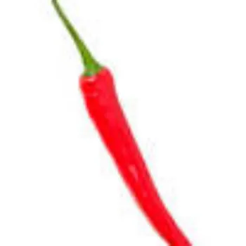 red-chilli04-2260795-77330.webp