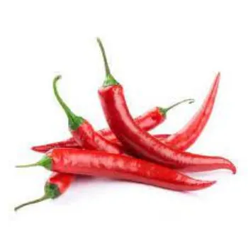 red-chilli04-257340-49946.webp