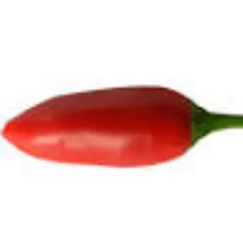 red-chilli05-2847547-9831.webp