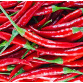 red-chilli05-3855576-2253.webp