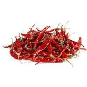 red-chilli06-7063973-9512.webp