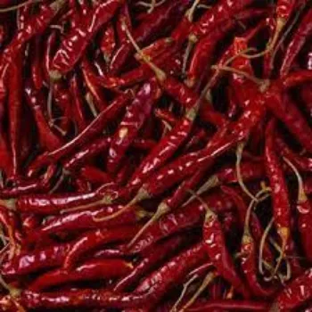 red-chilli07-6250926-41635.webp