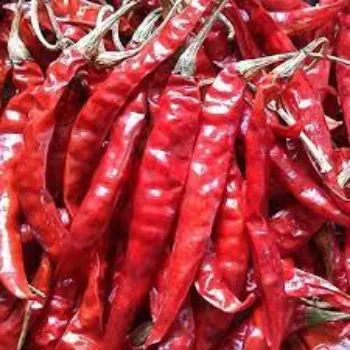red-chilli08-3881873-68999.webp