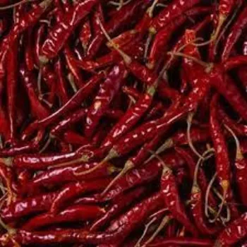 red-chilli09-2526526-61663.webp