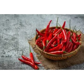 red-chilli1-7042350-47552.webp