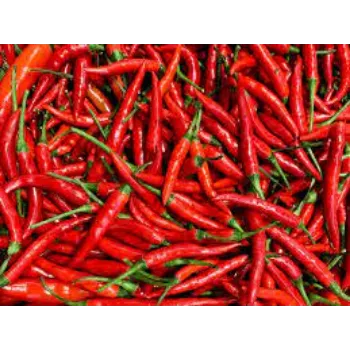 red-chilli10-3076606-59962.webp