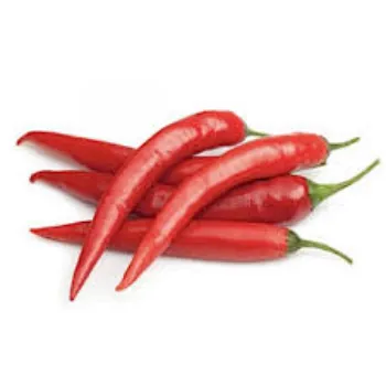 red-chilli10-3766122-81890.webp