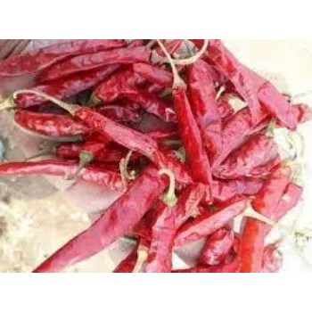 red-chilli10-9054383-17383.webp