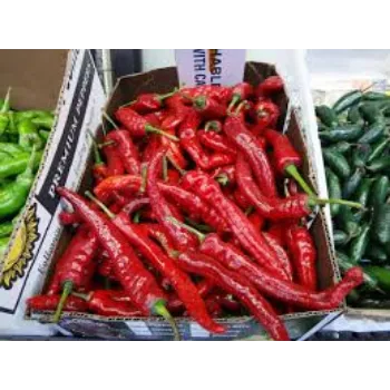 red-chilli11-3875302-14026.webp
