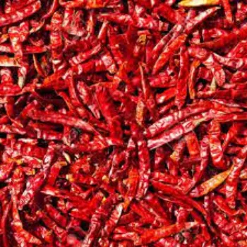 red-chilli12-5186970-15115.webp