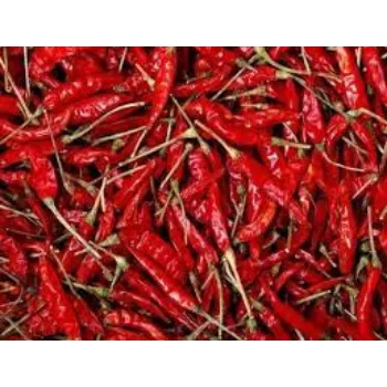 red-chilli12-6004870-11148.webp