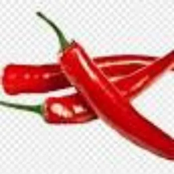red-chilli14-2043118-54918.webp
