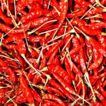 red-chilli14-3471349-80340.webp