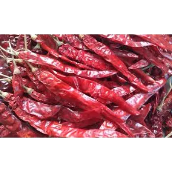 red-chilli15-4886358-97963.webp