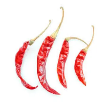 red-chilli15-6914032-59483.webp
