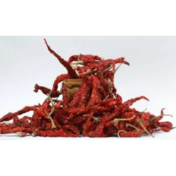 red-chilli15-8543195-48074.webp
