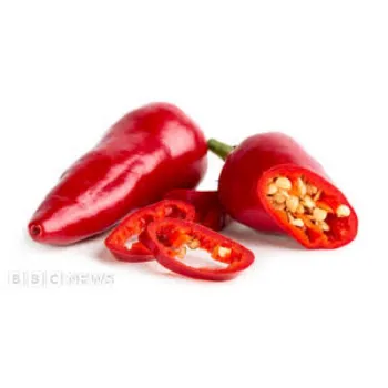 red-chilli17-6799296-20889.webp
