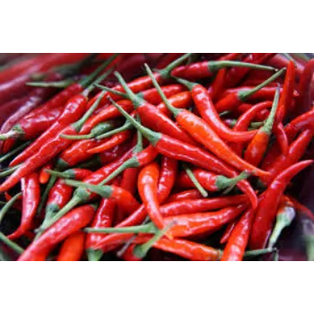 red-chilli2-3716905-63479.webp