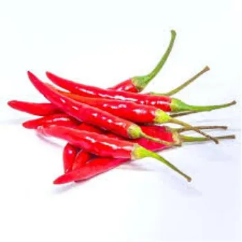 red-chilli2-4274857-44903.webp