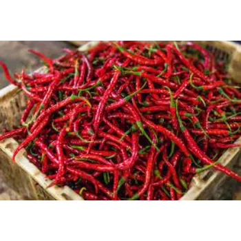 red-chilli2-6385359-93263.webp