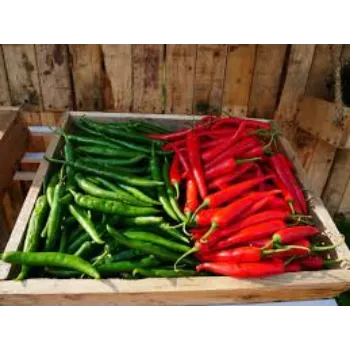 red-chilli3-8574809-12602.webp